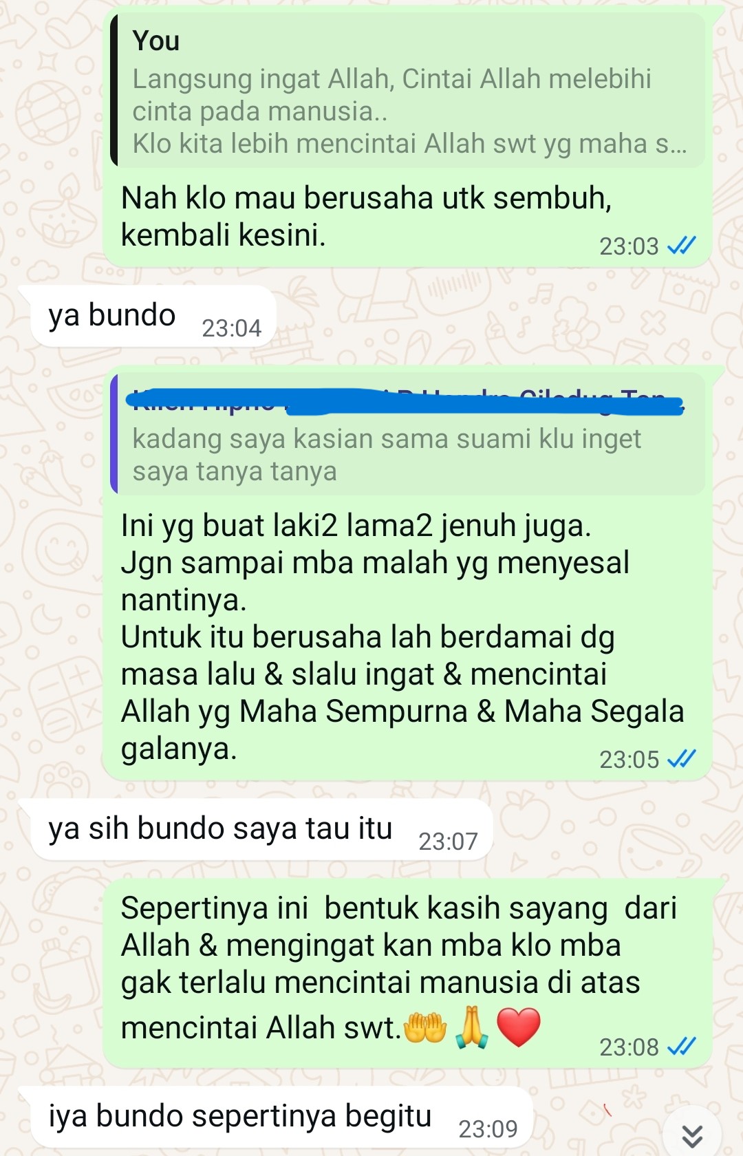 Progres Klien LS 3