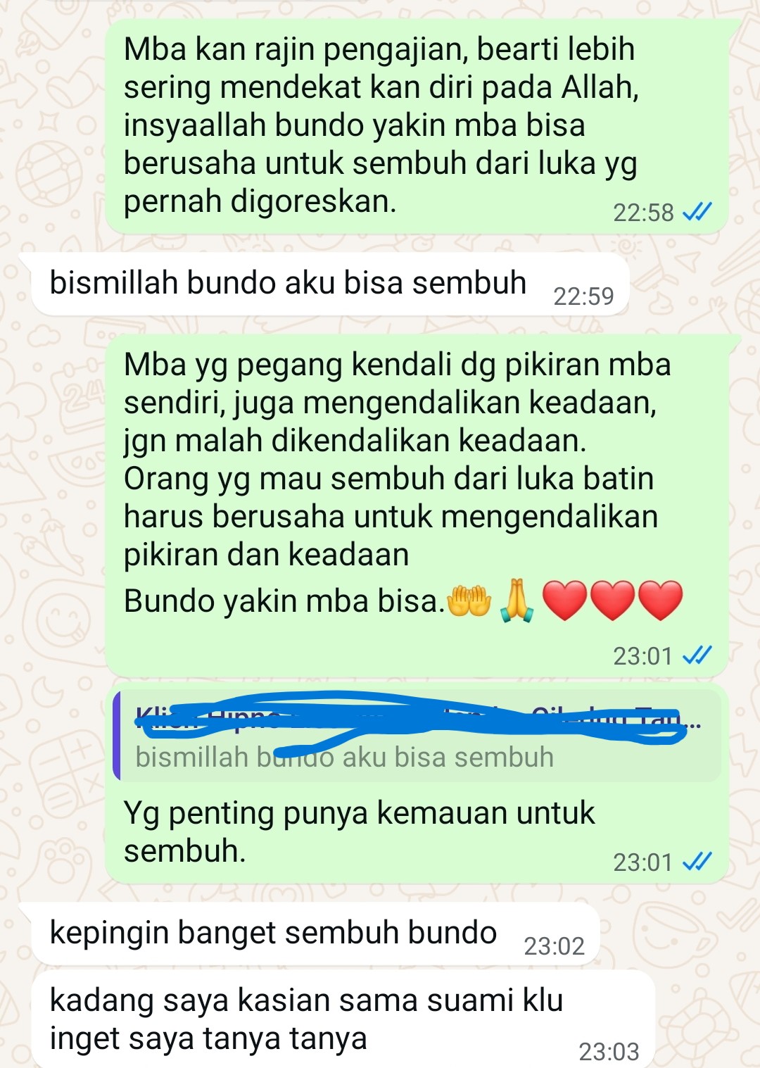 Progres Klien LS 4